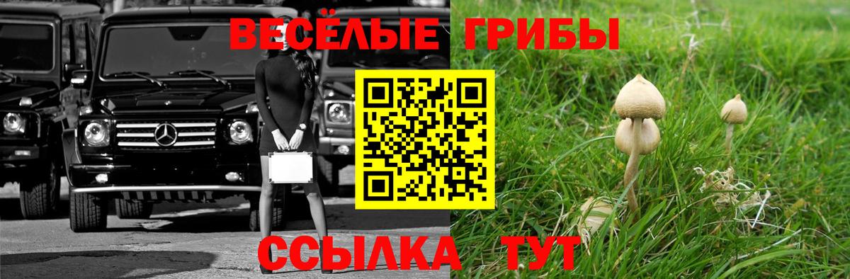 Псилоцибиновые грибы мицелий Клинцы